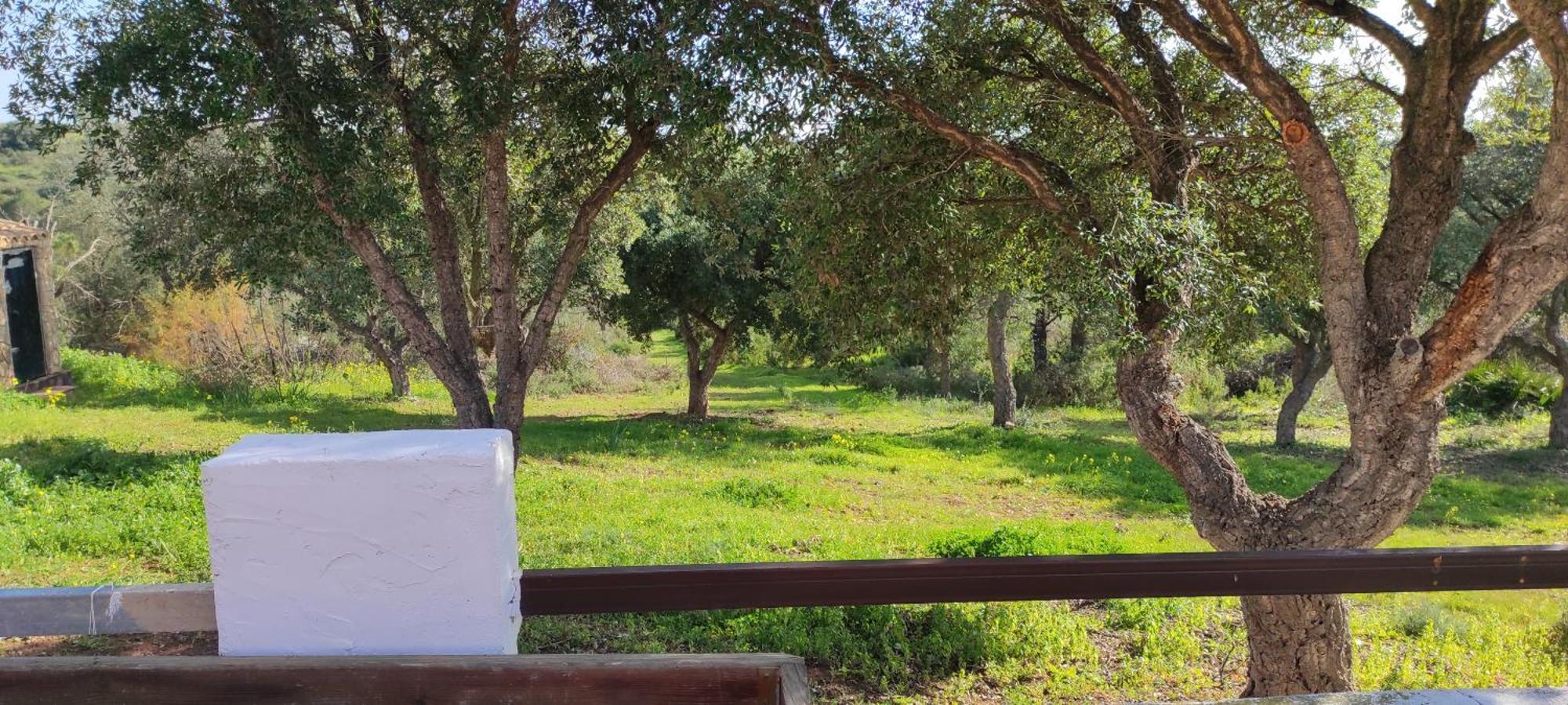 Appartement La Titana Huelva